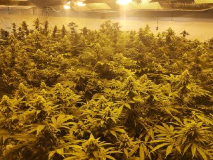 &Delta;&omicron;&upsilon;&lambda;&epsilon;&iota;έ&sigmaf; &mu;&epsilon;&hellip;&phi;&omicron;ύ&nu;&tau;&epsilon;&sigmaf; &gamma;&iota;&alpha; 38&chi;&rho;&omicron;&nu;&omicron; &sigma;&tau;&eta; &Rho;ό&delta;&omicron;- &Sigma;&upsilon;&nu;&epsilon;&lambda;ή&phi;&theta;&eta; &mu;&epsilon; 41 &delta;&epsilon;&nu;&delta;&rho;ύ&lambda;&lambda;&iota;&alpha; &kappa;ά&nu;&nu;&alpha;&beta;&eta;&sigmaf;