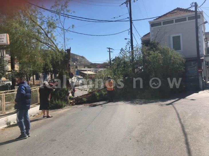 Έ&pi;&epsilon;&sigma;&epsilon; &delta;έ&nu;&tau;&rho;&omicron; &sigma;&tau;&omicron;&nu; Ά&gamma;&iota;&omicron; &Theta;&epsilon;&omicron;&lambda;ό&gamma;&omicron; - Ά&gamma;&iota;&omicron; &epsilon;ί&chi;&epsilon; &tau;&omicron; &delta;&iota;&epsilon;&rho;&chi;ό&mu;&epsilon;&nu;&omicron; &alpha;&upsilon;&tau;&omicron;&kappa;ί&nu;&eta;&tau;&omicron;