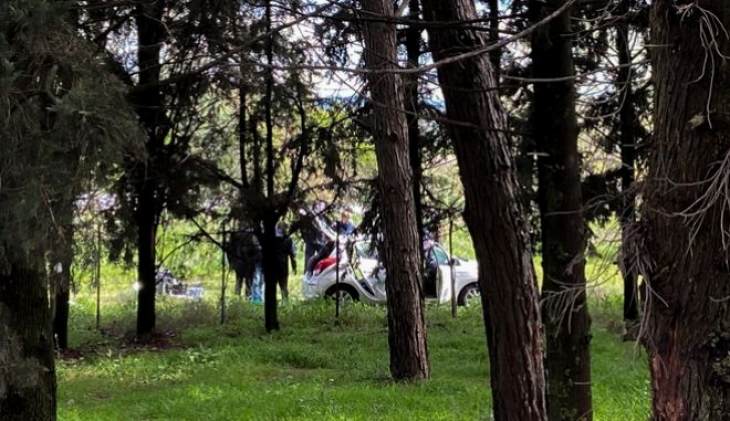 &Gamma;&upsilon;&nu;&alpha;&iota;&kappa;&omicron;&kappa;&tau;&omicron;&nu;ί&alpha; &sigma;&tau;&eta; &Theta;&epsilon;&sigma;&sigma;&alpha;&lambda;&omicron;&nu;ί&kappa;&eta;: &Tau;&eta;&nu; &pi;&upsilon;&rho;&omicron;&beta;ό&lambda;&eta;&sigma;&epsilon; &mu;&epsilon; &kappa;&alpha;&rho;&alpha;&mu;&pi;ί&nu;&alpha; &sigma;&tau;&omicron; &kappa;&epsilon;&phi;ά&lambda;&iota;