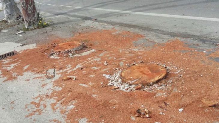 &Delta;&Epsilon;&Lambda;&Tau;&Iota;&Omicron; &Tau;&Upsilon;&Pi;&Omicron;&Upsilon;  &Tau;&Eta;&Sigma; &Mu;&Omicron;&Nu;&Iota;&Mu;&Eta;&Sigma; &Epsilon;&Pi;&Iota;&Tau;&Rho;&Omicron;&Pi;&Eta;&Sigma; &Tau;&Omicron;&Upsilon; &Tau;&Epsilon;&Epsilon; &Gamma;&Iota;&Alpha; &Tau;&Eta;&Nu; &Kappa;&Omicron;&Pi;&Eta; &Tau;&Omega;&Nu; &Delta;&Epsilon;&Nu;&Tau;&Rho;&Omega;&Nu; &Sigma;&Tau;&Iota;&Sigma; &Mu;&Upsilon;&Rho;&Tau;&Iota;&Epsilon;&Sigma;