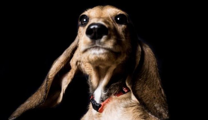 Έ&kappa;&theta;&epsilon;&sigma;&eta; &Phi;&omega;&tau;&omicron;&gamma;&rho;&alpha;&phi;ί&alpha;&sigmaf; &Alpha;&phi;&iota;&epsilon;&rho;&omega;&mu;έ&nu;&eta; &Sigma;&tau;&alpha; &Alpha;&delta;έ&sigma;&pi;&omicron;&tau;&alpha; &Sigma;&tau;&omicron; &Kappa;&Pi;&Iota;&Sigma;&Nu;