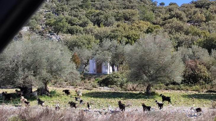 &Sigma;&tau;&eta; &sigma;ύ&lambda;&lambda;&eta;&psi;&eta; &alpha;&delta;έ&sigma;&pi;&omicron;&tau;&omega;&nu; &kappa;&alpha;&tau;&sigma;&iota;&kappa;&iota;ώ&nu; &theta;&alpha; &pi;&rho;&omicron;&chi;&omega;&rho;ή&sigma;&omicron;&upsilon;&nu; &sigma;&tau;&eta;&nu; &pi;&epsilon;&rho;&iota;&omicron;&chi;ή &tau;&omicron;&upsilon; &Alpha;&rho;&chi;&alpha;&gamma;&gamma;έ&lambda;&omicron;&upsilon;