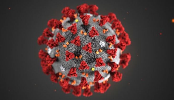 Κοροναϊός: Το γενετικό μυστήριο του ιού, που τρομοκρατεί τον πλανήτη
