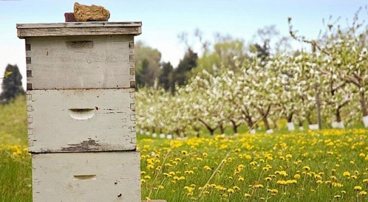 ΥΠΑΑΤ: Ενίσχυση των Κέντρων Μελισσοκομίας