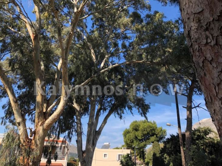 &Kappa;ά&lambda;&upsilon;&mu;&nu;&omicron;&sigmaf;: &sigma;&tau;&alpha; &Pi;&eta;&gamma;ά&delta;&iota;&alpha; &omicron; &kappa;ί&nu;&delta;&upsilon;&nu;&omicron;&sigmaf; &pi;&alpha;&rho;&alpha;&mu;έ&nu;&epsilon;&iota;...