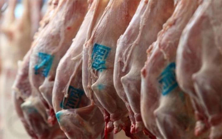 &Pi;&alpha;&sigma;&chi;&alpha;&lambda;&iota;&nu;ό &alpha;&rho;&nu;ί &kappa;&alpha;&iota; &Delta;&eta;&mu;ό&sigma;&iota;&alpha; &Upsilon;&gamma;&epsilon;ί&alpha; - &Gamma;&rho;ά&phi;&epsilon;&iota; &omicron; &kappa;&tau;&eta;&nu;ί&alpha;&tau;&rho;&omicron;&sigmaf; &Sigma;&tau;έ&lambda;&iota;&omicron;&sigmaf; &Chi;&alpha;&rho;&tau;&omicron;&phi;ί&lambda;&eta;&sigmaf;