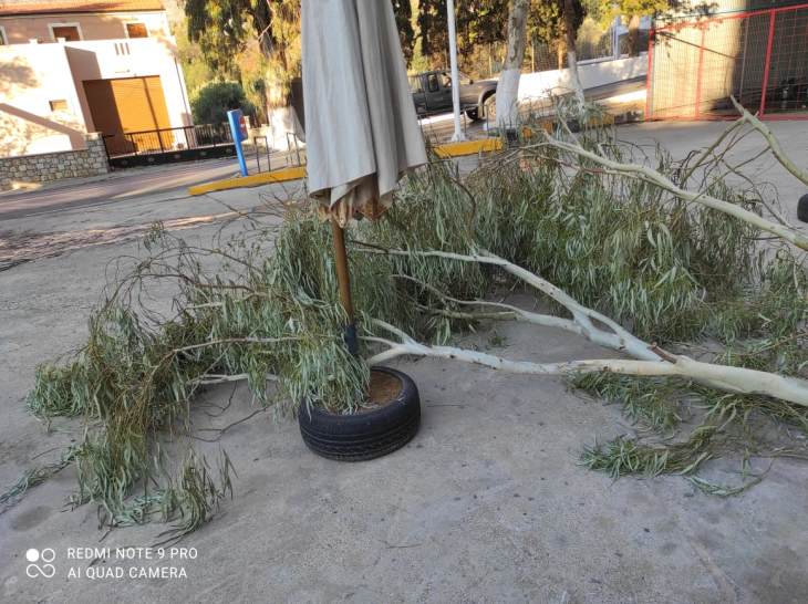 &Alpha;&pi;ό &tau;ύ&chi;&eta; &delta;&epsilon;&nu; έ&gamma;&iota;&nu;&epsilon; &alpha;&tau;ύ&chi;&eta;&mu;&alpha; &alpha;&pi;ό &tau;&eta;&nu; &pi;&tau;ώ&sigma;&eta; &mu;&epsilon;&gamma;ά&lambda;&omicron;&upsilon; &kappa;&lambda;&alpha;&delta;&iota;&omicron;ύ &sigma;&epsilon; &pi;&rho;&alpha;&tau;ή&rho;&iota;&omicron; &kappa;&alpha;&upsilon;&sigma;ί&mu;&omega;&nu; &sigma;&tau;&alpha; &Pi;&eta;&gamma;ά&delta;&iota;&alpha;