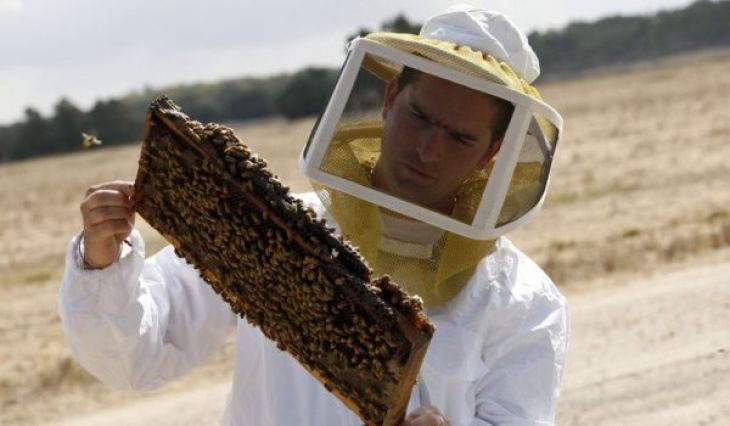 &laquo;&Pi;&rho;ό&gamma;&rho;&alpha;&mu;&mu;&alpha; &Sigma;&tau;ή&rho;&iota;&xi;&eta;&sigmaf; &tau;&omega;&nu; &Mu;&iota;&kappa;&rho;ώ&nu; &Nu;&eta;&sigma;&iota;ώ&nu; &tau;&omicron;&upsilon; &Alpha;&iota;&gamma;&alpha;ί&omicron;&upsilon; &Pi;&epsilon;&lambda;ά&gamma;&omicron;&upsilon;&sigmaf; &sigma;&tau;&omicron;&nu; &tau;&omicron;&mu;έ&alpha; &tau;&eta;&sigmaf; &Mu;&epsilon;&lambda;&iota;&sigma;&sigma;&omicron;&kappa;&omicron;&mu;ί&alpha;&sigmaf; &gamma;&iota;&alpha; &tau;&omicron; έ&tau;&omicron;&sigmaf; 2020 &ndash; &Alpha;&iota;&tau;ή&sigma;&epsilon;&iota;&sigmaf; έ&omega;&sigmaf; 20 &Omicron;&kappa;&tau;&omega;&beta;&rho;ί&omicron;&upsilon; 20