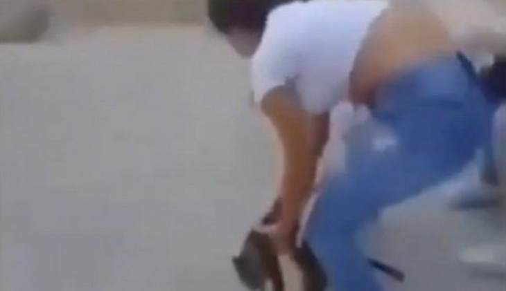 Κρήτη: Πρόστιμο 5.000 ευρώ στη μαθήτρια που κλώτσησε γάτα και το ανέβασε στα social media