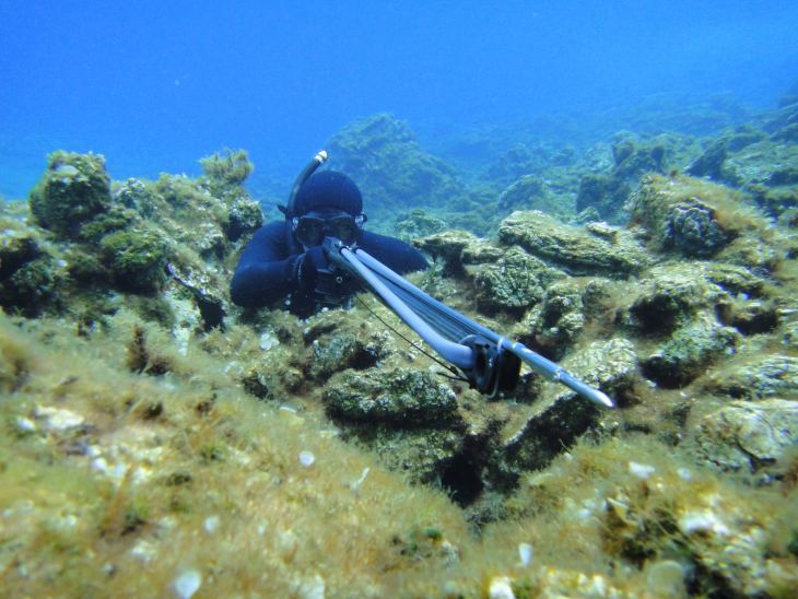 &Pi;&rho;ό&sigma;&tau;&iota;&mu;&alpha; &sigma;&epsilon; &nu;&upsilon;&chi;&tau;&epsilon;&rho;&iota;&nu;&omicron;ύ&sigmaf; "&psi;&alpha;&rho;&omicron;&nu;&tau;&omicron;&upsilon;&phi;&epsilon;&kappa;ά&delta;&epsilon;&sigmaf;" &alpha;&pi;ό &tau;&omicron; &Lambda;&iota;&mu;&epsilon;&nu;&alpha;&rho;&chi;&epsilon;ί&omicron; &Kappa;&alpha;&lambda;ύ&mu;&nu;&omicron;&upsilon;