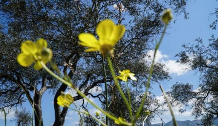 &Pi;&rho;&omega;&tau;&omicron;&mu;&alpha;&gamma;&iota;ά: &Omicron; &kappa;&alpha;&iota;&rho;ό&sigmaf; &tau;&omicron; &epsilon;&omicron;&rho;&tau;&alpha;&sigma;&tau;&iota;&kappa;ό &tau;&rho;&iota;ή&mu;&epsilon;&rho;&omicron;