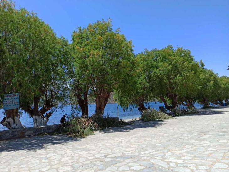 &Epsilon;&mu;&pi;&omicron;&rho;&epsilon;&iota;ό&sigmaf; &gamma;&iota;&alpha; "&phi;ί&lambda;&eta;&mu;&alpha;" &mu;&epsilon;&tau;ά &tau;&eta;&nu; &kappa;&alpha;&theta;&alpha;&rho;&iota;ό&tau;&eta;&tau;&alpha;