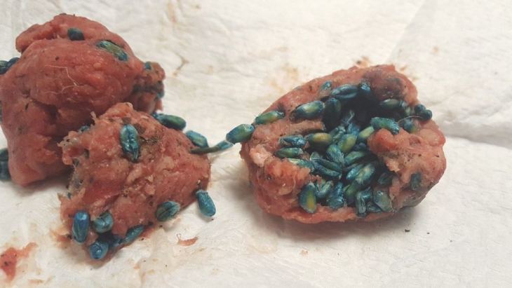 &Alpha;&nu;&alpha;&phi;&omicron;&rho;ά &gamma;&iota;&alpha; "&phi;ό&lambda;&epsilon;&sigmaf;" &sigma;&tau;&eta;&nu; &pi;&epsilon;&rho;&iota;&omicron;&chi;ή &tau;&omicron;&upsilon; &Alpha;&gamma;ί&omicron;&upsilon; &Sigma;&tau;&epsilon;&phi;ά&nu;&omicron;&upsilon; &Kappa;&alpha;&lambda;ύ&mu;&nu;&omicron;&upsilon;