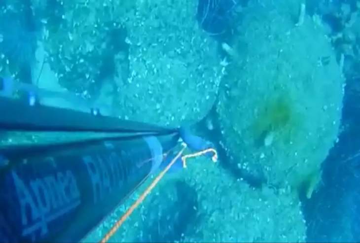 Κεφαλονιά: Ψαροντουφεκάς βρήκε τεράστια νάρκη του Β&#039; Παγκοσμίου Πολέμου σε βάθος 10 μέτρων - «Το πιο παράξενο πράγμα»