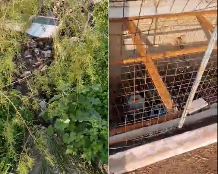 &Delta;&iota;&alpha;&rho;&rho;&omicron;ή &sigma;&tau;&omicron; &alpha;&nu;&tau;&lambda;&iota;&omicron;&sigma;&tau;ά&sigma;&iota;&omicron; &tau;&omicron;&upsilon; &Beta;&iota;&omicron;&lambda;&omicron;&gamma;&iota;&kappa;&omicron;ύ &sigma;&tau;&omicron; &Lambda;&alpha;&phi;ά&sigma;&iota;