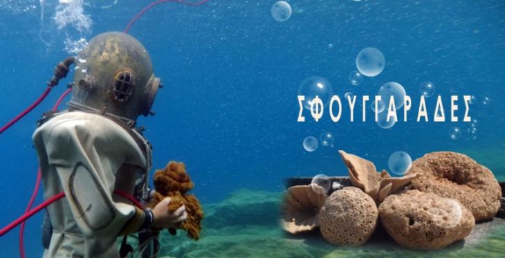 &Theta;&Epsilon;&Mu;&Alpha;.  &laquo;&Alpha;ί&tau;&eta;&mu;&alpha; &tau;&omega;&nu; &alpha;&pi;&omicron;&gamma;ό&nu;&omega;&nu; &Kappa;&alpha;&lambda;ύ&mu;&nu;&iota;&omega;&nu; &sigma;&phi;&omicron;&upsilon;&gamma;&gamma;&alpha;&rho;ά&delta;&omega;&nu; &gamma;&iota;&alpha; &tau;&eta;&nu; &alpha;&nu;έ&gamma;&epsilon;&rho;&sigma;&eta; &mu;&nu;&eta;&mu;&epsilon;ί&omicron;&upsilon;&raquo;   &epsilon;&rho;ώ&tau;&eta;&sigma;&eta; &Epsilon;&lambda;&lambda;&eta;&nu;&iota;&kappa;ή&sigmaf; &Lambda;ύ&sigma;&eta;&sigmaf;