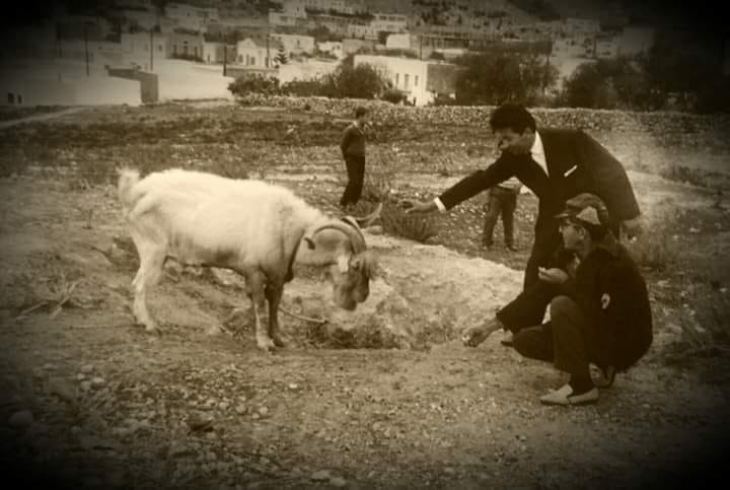 &Sigma;&tau;&eta;&nu; &Gamma;ή &tau;&eta;&sigmaf; &Alpha;&mu;&mu;&alpha;ά&rho;&alpha;&sigmaf;  &kappa;&alpha;&iota; &sigma;&tau;&eta;&sigmaf; &Psi;&eta;&lambda;&iota;&alpha;&nu;&nu;ή&sigmaf; &tau;&alpha; &mu;έ&rho;&eta;...