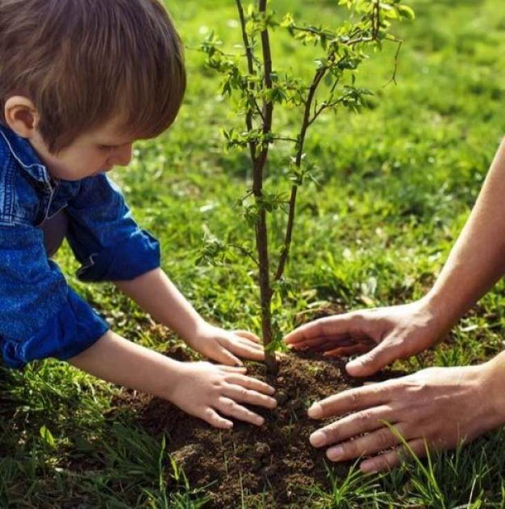 &Mu;ί&alpha; &kappa;&alpha;&iota;&nu;&omicron;ύ&rho;&gamma;&iota;&alpha; &epsilon;&theta;&epsilon;&lambda;&omicron;&nu;&tau;&iota;&kappa;ή &omicron;&mu;ά&delta;&alpha; &delta;&epsilon;&nu;&tau;&rho;&omicron;&phi;ύ&tau;&epsilon;&upsilon;&sigma;&eta;&sigmaf; &gamma;&iota;&alpha; &tau;&eta;&nu; &Kappa;ά&lambda;&upsilon;&mu;&nu;&omicron; &gamma;&epsilon;&nu;&nu;ή&theta;&eta;&kappa;&epsilon; &sigma;ή&mu;&epsilon;&rho;&alpha; &mu;έ&sigma;&omega; &delta;&iota;&alpha;&delta;&iota;&kappa;&tau;ύ&omicron;&upsilon;