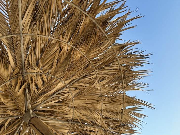 &Kappa;&alpha;&iota;&rho;ό&sigmaf;: &Mu;ί&nu;&iota; &kappa;&alpha;ύ&sigma;&omega;&nu;&alpha;&sigmaf; &mu;&epsilon; 36 &beta;&alpha;&theta;&mu;&omicron;ύ&sigmaf; &Kappa;&epsilon;&lambda;&sigma;ί&omicron;&upsilon; &ndash; &Pi;ό&tau;&epsilon; &epsilon;&pi;&iota;&delta;&epsilon;&iota;&nu;ώ&nu;&epsilon;&tau;&alpha;&iota;