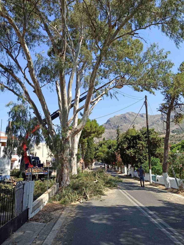 &Sigma;&upsilon;&nu;&epsilon;&chi;ί&zeta;&epsilon;&tau;&alpha;&iota; &mu;&epsilon;&tau;ά &alpha;&pi;ό &delta;&iota;&alpha;&kappa;&omicron;&pi;ή &mu;&eta;&nu;ώ&nu; &tau;&omicron; &kappa;&lambda;ά&delta;&epsilon;&mu;&alpha; &mu;&epsilon;&gamma;ά&lambda;&omega;&nu; &kappa;&lambda;&alpha;&delta;&iota;ώ&nu; &sigma;&tau;&omicron; &epsilon;&pi;&alpha;&rho;&chi;&iota;&alpha;&kappa;ό &delta;ί&kappa;&tau;&upsilon;&omicron;