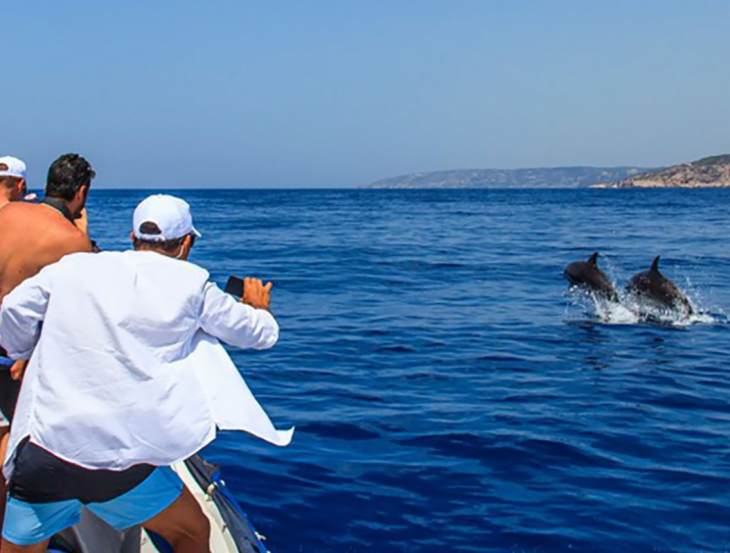 &Tau;&alpha;&xi;ί&delta;&iota; &sigma;&tau;&eta; &theta;ά&lambda;&alpha;&sigma;&sigma;&alpha;, &sigma;&tau;&omicron; &chi;&rho;ό&nu;&omicron; &kappa;&alpha;&iota; &sigma;&tau;&omicron;&upsilon;&sigmaf; &mu;ύ&theta;&omicron;&upsilon;&sigmaf; &alpha;&pi;ό &tau;&eta;&nu; Blutopia