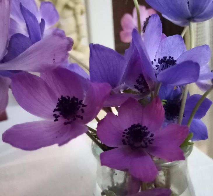 &Tau;&omicron; &delta;ί&sigma;&epsilon;&kappa;&tau;&omicron; &delta;&epsilon;&nu; &sigma;&eta;&mu;&alpha;ί&nu;&epsilon;&iota; &kappa;&alpha;&iota; &delta;&upsilon;&sigma;&omicron;ί&omega;&nu;&omicron;...