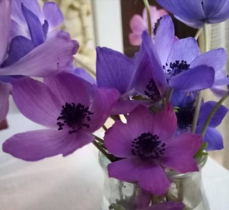 &Tau;&omicron; &delta;ί&sigma;&epsilon;&kappa;&tau;&omicron; &delta;&epsilon;&nu; &sigma;&eta;&mu;&alpha;ί&nu;&epsilon;&iota; &kappa;&alpha;&iota; &delta;&upsilon;&sigma;&omicron;ί&omega;&nu;&omicron;...