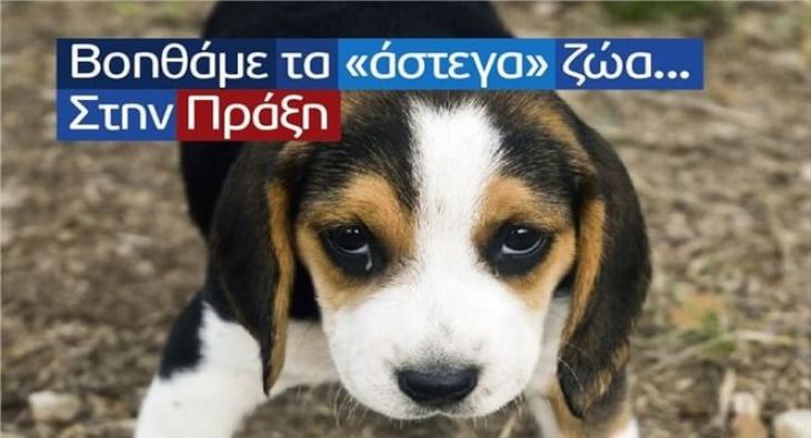 &Delta;&epsilon;&lambda;&tau;ί&omicron; &tau;ύ&pi;&omicron;&upsilon; &Delta;ή&mu;&omicron;&upsilon; &gamma;&iota;&alpha; &tau;&omicron;&nu; &delta;&eta;&lambda;&eta;&tau;&eta;&rho;&iota;&alpha;&sigma;&mu;ό &alpha;&delta;έ&sigma;&pi;&omicron;&tau;&omega;&nu; &zeta;ώ&omega;&nu;