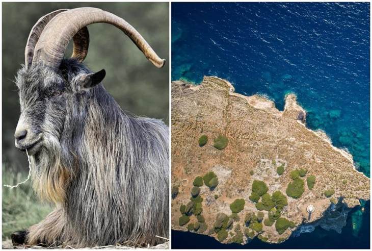 &Tau;&alpha; &tau;&omicron;&upsilon;&rho;&kappa;&iota;&kappa;ά &Mu;&Mu;&Epsilon; &kappa;&alpha;&tau;&eta;&gamma;&omicron;&rho;&omicron;ύ&nu; &tau;&eta;&nu; &Epsilon;&lambda;&lambda;ά&delta;&alpha; &gamma;&iota;&alpha; &laquo;&epsilon;&pi;&omicron;&iota;&kappa;&iota;&sigma;&mu;ό&raquo; &beta;&rho;&alpha;&chi;&omicron;&nu;&eta;&sigma;ί&delta;&omega;&nu; &mu;&epsilon;... &kappa;&alpha;&tau;&sigma;ί&kappa;&epsilon;&sigmaf;
