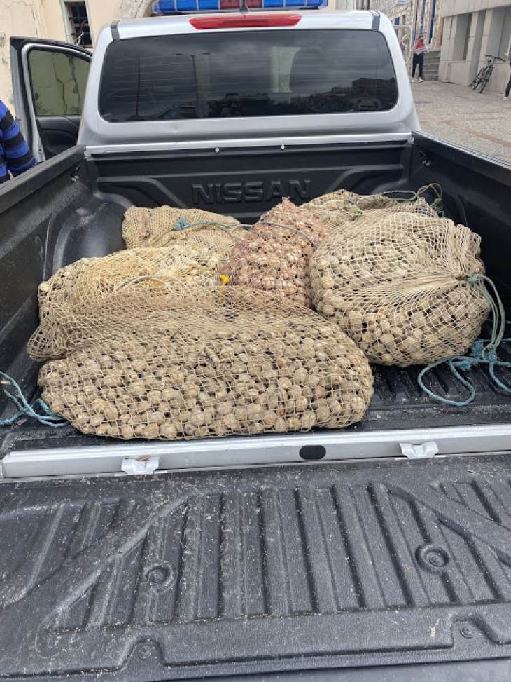 &Alpha;&lambda;&iota;&epsilon;&upsilon;&tau;&iota;&kappa;&omicron;ί έ&lambda;&epsilon;&gamma;&chi;&omicron;&iota; &sigma;&tau;&eta;&nu; &Kappa;ά&lambda;&upsilon;&mu;&nu;&omicron;