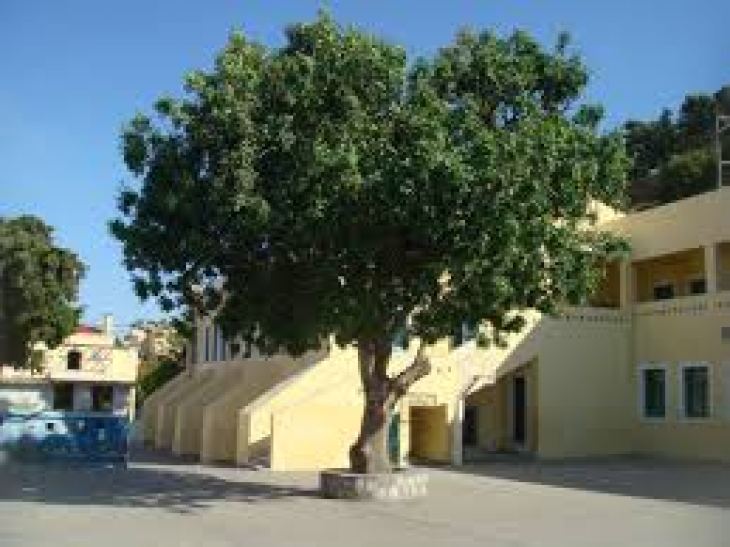 &Delta;&epsilon;ύ&tau;&epsilon;&rho;&omicron;... &laquo;&pi;&rho;ώ&tau;&omicron; &kappa;&omicron;&upsilon;&delta;&omicron;ύ&nu;&iota;&raquo; &kappa;&alpha;&iota; &gamma;&iota;&alpha; &tau;&omicron;&upsilon;&sigmaf; &mu;&iota;&kappa;&rho;&omicron;ύ&sigmaf; &mu;&alpha;&theta;&eta;&tau;έ&sigmaf; - &Pi;ώ&sigmaf; &theta;&alpha; &lambda;&epsilon;&iota;&tau;&omicron;&upsilon;&rho;&gamma;ή&sigma;&omicron;&upsilon;&nu; &tau;&alpha; &sigma;&chi;&omicron;&lambda;&epsilon;ί&alpha;