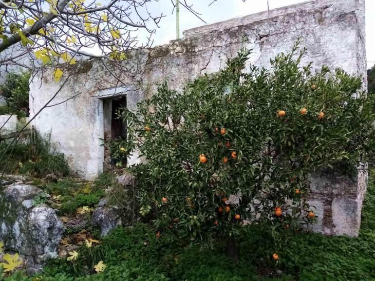 &Pi;&rho;έ&pi;&epsilon;&iota; &nu;&alpha; &beta;&rho;&epsilon;&theta;&omicron;ύ&mu;&epsilon; &sigma;&tau;&omicron; ί&delta;&iota;&omicron; &tau;&rho;&alpha;&pi;έ&zeta;&iota; &kappa;&alpha;&iota; &nu;&alpha; &sigma;&upsilon;&zeta;&eta;&tau;ή&sigma;&omicron;&upsilon;&mu;&epsilon;, &nu;&alpha; &xi;&alpha;&nu;&alpha;&beta;&rho;&omicron;ύ&mu;&epsilon; &tau;&eta;&nu; &tau;&alpha;&upsilon;&tau;ό&tau;&eta;&tau;&alpha; &mu;&alpha;&sigmaf; &kappa;&alpha;&iota; &nu;&alpha; &pi;&omicron;&rho;&epsilon;&upsilon;&tau;&omicron;ύ&mu;&epsilon; &sigma;&tau;&omicron; &mu;έ&lambda;&lambda;&omicron;&nu;