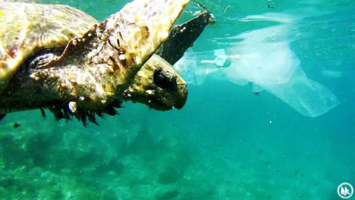 &Mu;&epsilon; &alpha;&phi;&epsilon;&tau;&eta;&rho;ί&alpha; &tau;&omicron;&upsilon;&sigmaf; &Lambda;&epsilon;&iota;&psi;&omicron;ύ&sigmaf; &ndash; &Omicron;&iota;&kappa;&omicron;&lambda;&omicron;&gamma;&iota;&kappa;ή &pi;&rho;&omega;&tau;&omicron;&beta;&omicron;&upsilon;&lambda;ί&alpha; &delta;&iota;&epsilon;&theta;&nu;&omicron;ύ&sigmaf; &beta;&epsilon;&lambda;&eta;&nu;&epsilon;&kappa;&omicron;ύ&sigmaf;