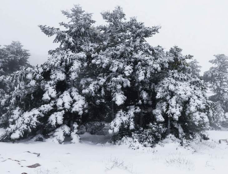 &Chi;&iota;ό&nu;&iota;&alpha; &kappa;&alpha;&iota; &sigma;&tau;&alpha; &nu;&eta;&sigma;&iota;ά &tau;&omicron;&upsilon; &Alpha;&iota;&gamma;&alpha;ί&omicron;&upsilon; &ndash; &Gamma;&rho;ί&phi;&omicron;&sigmaf; &eta; &delta;&iota;ά&rho;&kappa;&epsilon;&iota;&alpha; &tau;&eta;&sigmaf; &kappa;&alpha;&kappa;&omicron;&kappa;&alpha;&iota;&rho;ί&alpha;&sigmaf; &laquo;&Epsilon;&lambda;&pi;ί&delta;&alpha;&raquo;
