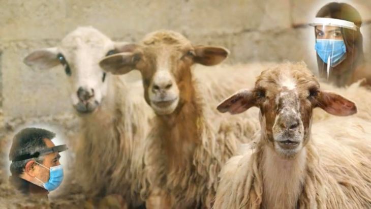 &Eta; &Chi;&Lambda;&Omega;&Rho;&Omicron;&Pi;&Alpha;&Nu;&Iota;&Delta;&Alpha; &Tau;&Eta;&Sigma; &Kappa;&Alpha;&Lambda;&Upsilon;&Mu;&Nu;&Omicron;&Upsilon;... &chi;&iota;&omicron;&upsilon;&mu;&omicron;&rho;&iota;&sigma;&tau;&iota;&kappa;ό &kappa;&epsilon;ί&mu;&epsilon;&nu;&omicron; &tau;&omicron;&upsilon; &gamma;&iota;&alpha;&tau;&rho;&omicron;ύ &mu;&alpha;&sigmaf; &Gamma;&iota;ά&nu;&nu;&eta; &Kappa;&omicron;&upsilon;&lambda;&lambda;&iota;ά ... &alpha;&phi;&eta;&gamma;&eta;&sigma;&eta; &Gamma;&iota;ά&nu;&nu;&eta;&sigmaf; &Kappa;&omicron;&upsilon;&lambda;&lambda;&iota;ά&sigmaf; - &Kappa;&alpha;&lambda;&lambda;&iota;&omicron;&pi;&eta; &Gamma;&kappa;&iota;&omicron;ύ&nu;&tau;&iota;&tau;&sigma;&epsilon;