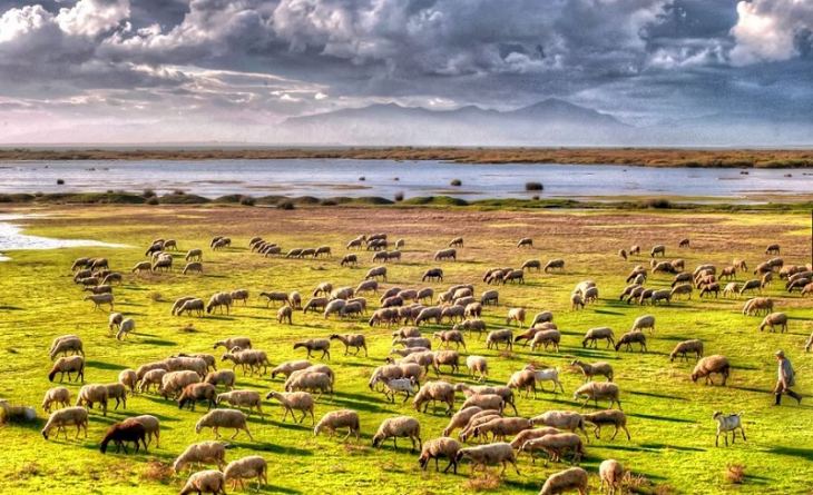 &Sigma;&tau;&iota;&sigmaf; &Pi;&epsilon;&rho;&iota;&phi;έ&rho;&epsilon;&iota;&epsilon;&sigmaf; &eta; &Alpha;&nu;ά&theta;&epsilon;&sigma;&eta; &tau;&omega;&nu; &Pi;&epsilon;&delta;ί&omega;&nu; &Beta;ό&sigma;&kappa;&eta;&sigma;&eta;&sigmaf;