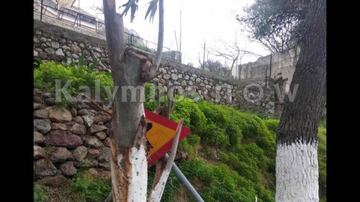 &Sigma;&upsilon;&nu;&epsilon;&chi;ί&zeta;&omicron;&nu;&tau;&alpha;&iota; &omicron;&iota; &pi;&tau;ώ&sigma;&epsilon;&iota;&sigmaf; &kappa;&lambda;&alpha;&delta;&iota;ώ&nu; &sigma;&tau;&eta;&nu; &pi;&epsilon;&rho;&iota;&omicron;&chi;ή &tau;&omega;&nu; &pi;&eta;&gamma;&alpha;&delta;&iota;ώ&nu;