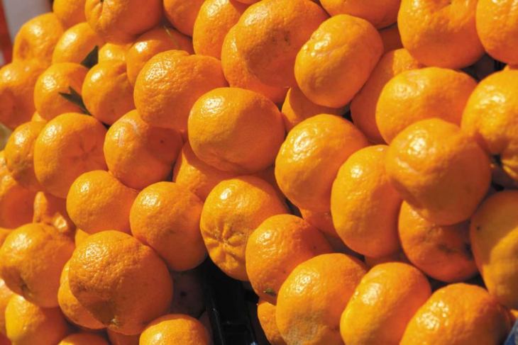 &Delta;&iota;&alpha;&mu;&alpha;&rho;&tau;ύ&rho;&omicron;&nu;&tau;&alpha;&iota; &omicron;&iota; &alpha;&gamma;&rho;ό&tau;&epsilon;&sigmaf; &tau;&eta;&sigmaf; &Kappa;&alpha;&lambda;ύ&mu;&nu;&omicron;&upsilon; &kappa;&alpha;&iota; &zeta;&eta;&tau;&omicron;ύ&nu; &tau;&eta;&nu; &theta;έ&sigma;&pi;&iota;&sigma;&eta; &epsilon;&iota;&delta;&iota;&kappa;&omicron;ύ &epsilon;&pi;&iota;&delta;ό&mu;&alpha;&tau;&omicron;&sigmaf; &gamma;&iota;&alpha; &alpha;&gamma;&rho;ό&tau;&epsilon;&sigmaf;, ά&nu;&epsilon;&rho;&gamma;&omicron;&upsilon;&sigmaf; &kappa;&alpha;&iota; &nu;&omicron;&iota;&kappa;&omicron;&kappa;&upsilon;&rho;&iota;ά &mu;&epsilon; &sigma;&omicron;&beta;&alpha;&rho;ό &pi;&rho;ό&beta;&lambda;&eta;&mu;&alpha;