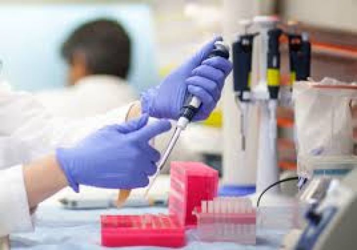 &Epsilon;&pi;&iota;&sigma;&tau;ή&mu;&omicron;&nu;&epsilon;&sigmaf; &delta;&eta;&mu;&iota;&omicron;ύ&rho;&gamma;&eta;&sigma;&alpha;&nu; &upsilon;&beta;&rho;ί&delta;&iota;&omicron; &alpha;&nu;&theta;&rho;ώ&pi;&omicron;&upsilon; &kappa;&alpha;&iota; &pi;&omicron;&nu;&tau;&iota;&kappa;&omicron;ύ &mu;&epsilon; &alpha;&nu;&theta;&rho;ώ&pi;&iota;&nu;&alpha; &kappa;ύ&tau;&tau;&alpha;&rho;&alpha; &sigma;&epsilon; &pi;&omicron;&sigma;&omicron;&sigma;&tau;ό 4%