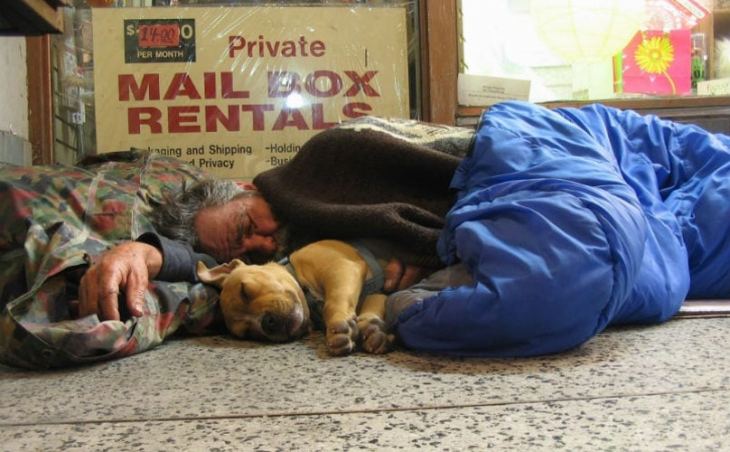 &Kappa;&omicron;&rho;&omicron;&nu;&alpha;ϊό&sigmaf; : &Nu;έ&epsilon;&sigmaf; &delta;&rho;ά&sigma;&epsilon;&iota;&sigmaf; &sigma;&tau;ή&rho;&iota;&xi;&eta;&sigmaf; &tau;&omega;&nu; &epsilon;&upsilon;ά&lambda;&omega;&tau;&omega;&nu; &omicron;&mu;ά&delta;&omega;&nu; &kappa;&alpha;&iota; &zeta;ώ&omega;&nu;