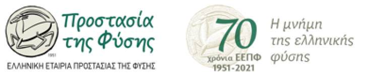 &Gamma;&iota;&alpha; 6&eta; &phi;&omicron;&rho;ά &tau;&omicron;  2o &delta;&eta;&mu;&omicron;&tau;&iota;&kappa;ό &sigma;&chi;&omicron;&lambda;&epsilon;ί&omicron; &pi;ό&lambda;&epsilon;&omega;&sigmaf; &beta;&rho;&alpha;&beta;&epsilon;ύ&epsilon;&tau;&alpha;&iota; &mu;&epsilon; &tau;&eta;&nu; &Pi;&rho;ά&sigma;&iota;&nu;&eta; &Sigma;&eta;&mu;&alpha;ί&alpha; &tau;&omega;&nu; &Omicron;&iota;&kappa;&omicron;&lambda;&omicron;&gamma;&iota;&kappa;ώ&nu; &Sigma;&chi;&omicron;&lambda;&epsilon;ί&omega;&nu;